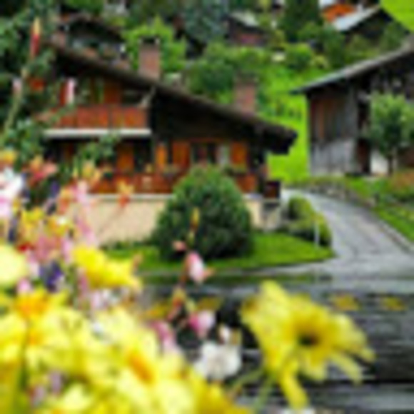 Meet your Posher, Michaëlle - Picture 1 of 1